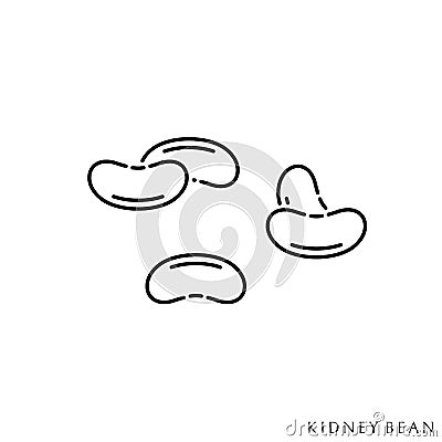 Kidney bean. Icon set. Outline style Vector Illustration